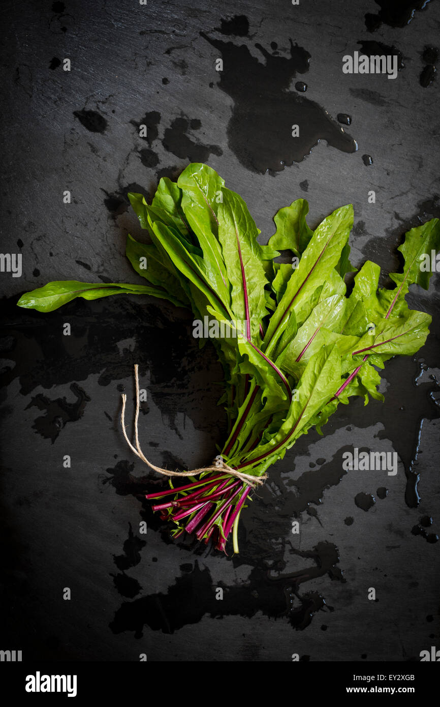 The dandelion market hi-res stock photography and images - Alamy