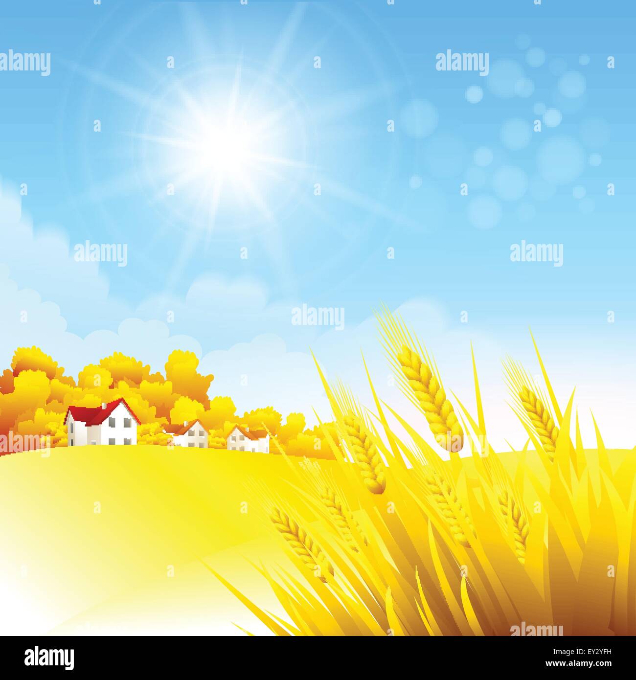 Autumn rural landscape. Vector illustration Stock Vector Image & Art ...