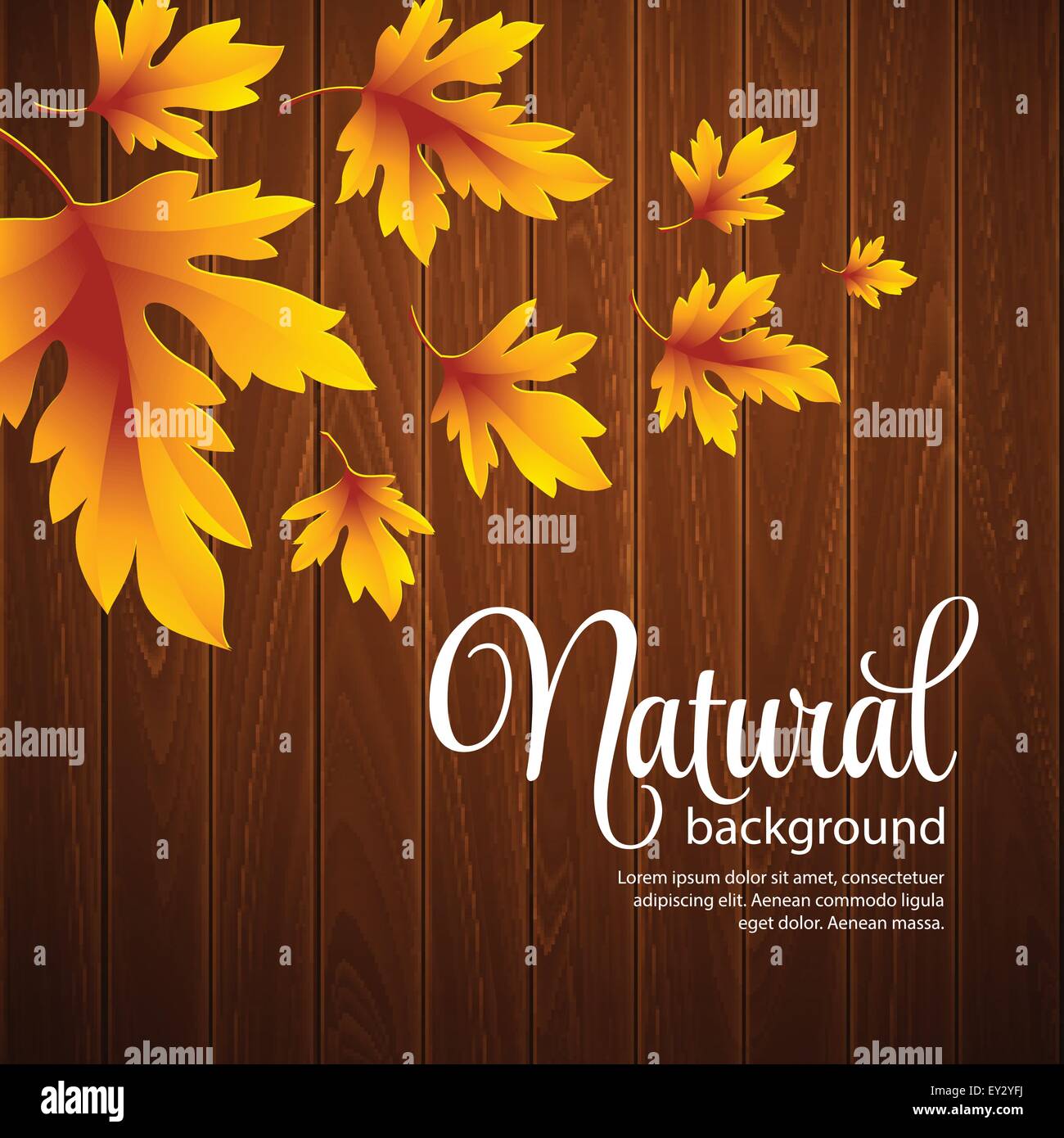 Autumn background with leaf and wood texture. Vector illustration Stock ...