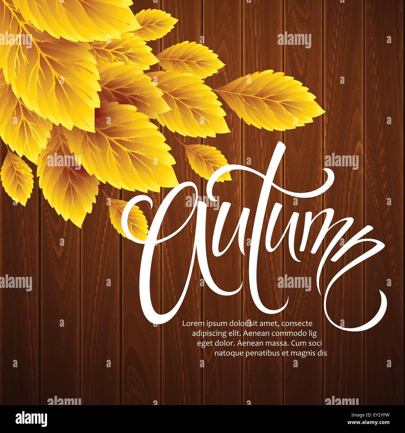 Autumn background with leaf and wood texture. Vector illustration Stock ...