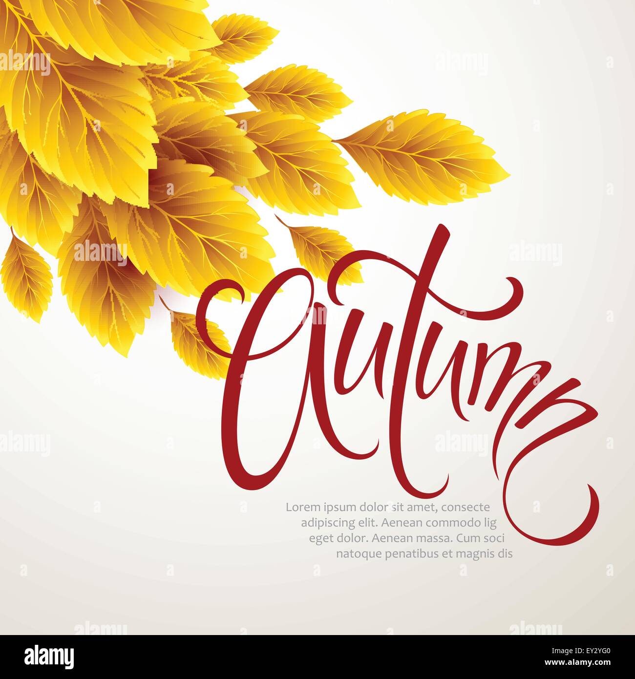 Autumn leaves background. Vector illustration Stock Vector Image & Art ...