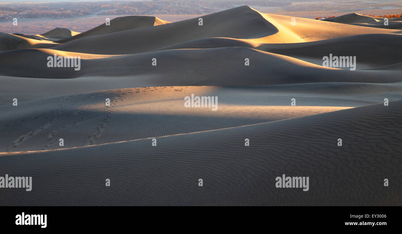 Mesquite Dunes and Grapevine Mountains at Sunrise, Death Valley, CA Stock Photo