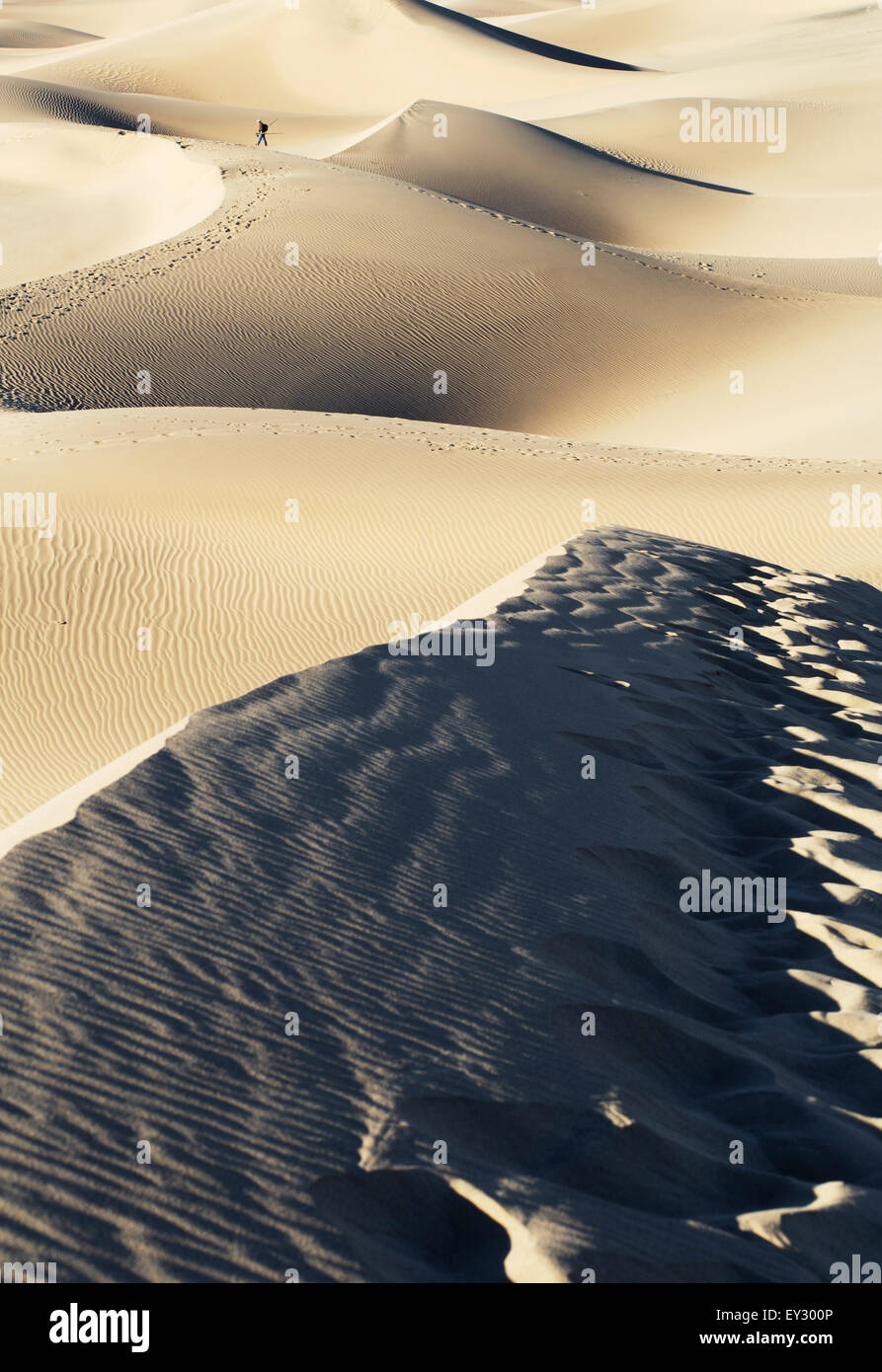 Photographer on Mesquite Sand Dunes at Sunrise, Death Valley, CA Stock Photo