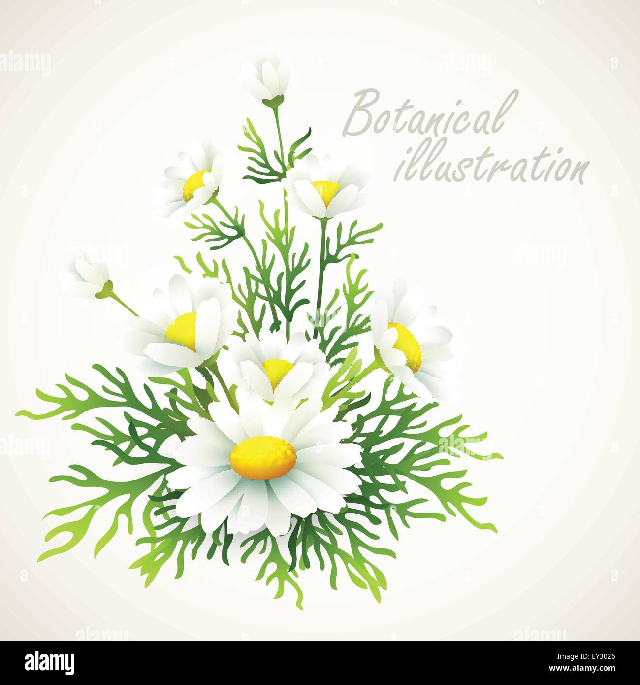 Victorian flowers illustration summer hi-res stock photography and images -  Alamy, image size:1300x1390