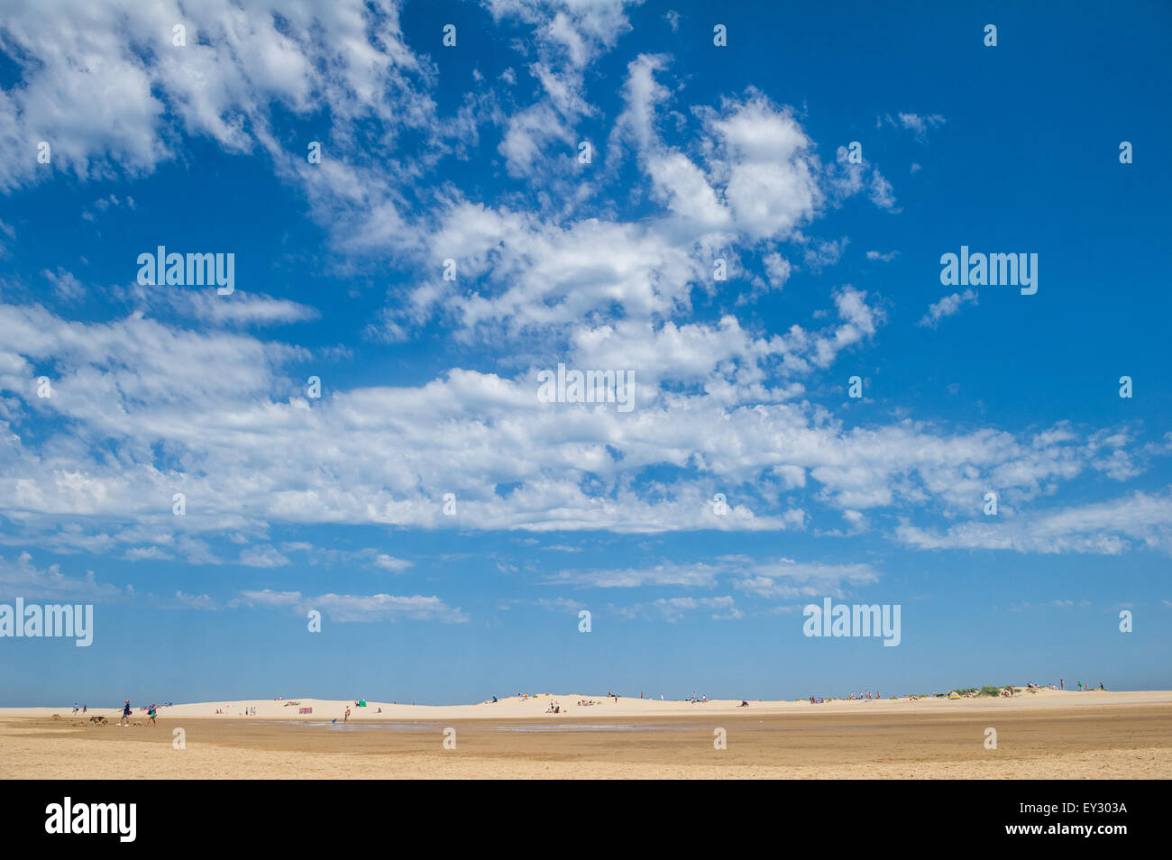 Blue skies and sandy beaches at Wells Next The Sea, Norfolk, England. Stock Photo