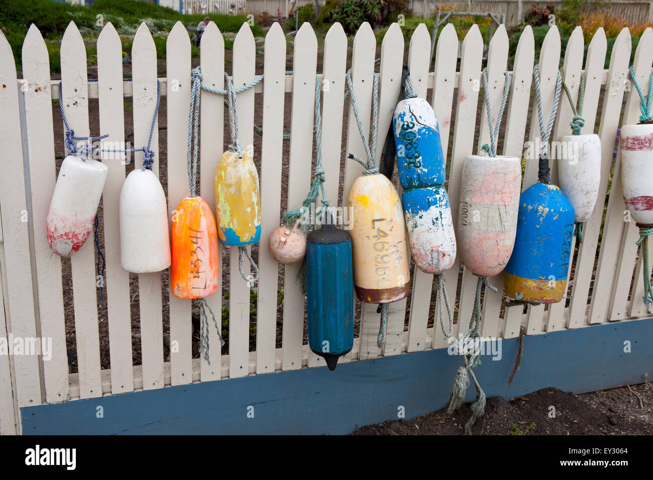 Fishing buoys hanging on a white picket fence, Point Montara Light Station, Montara, California, United States of America Stock Photo