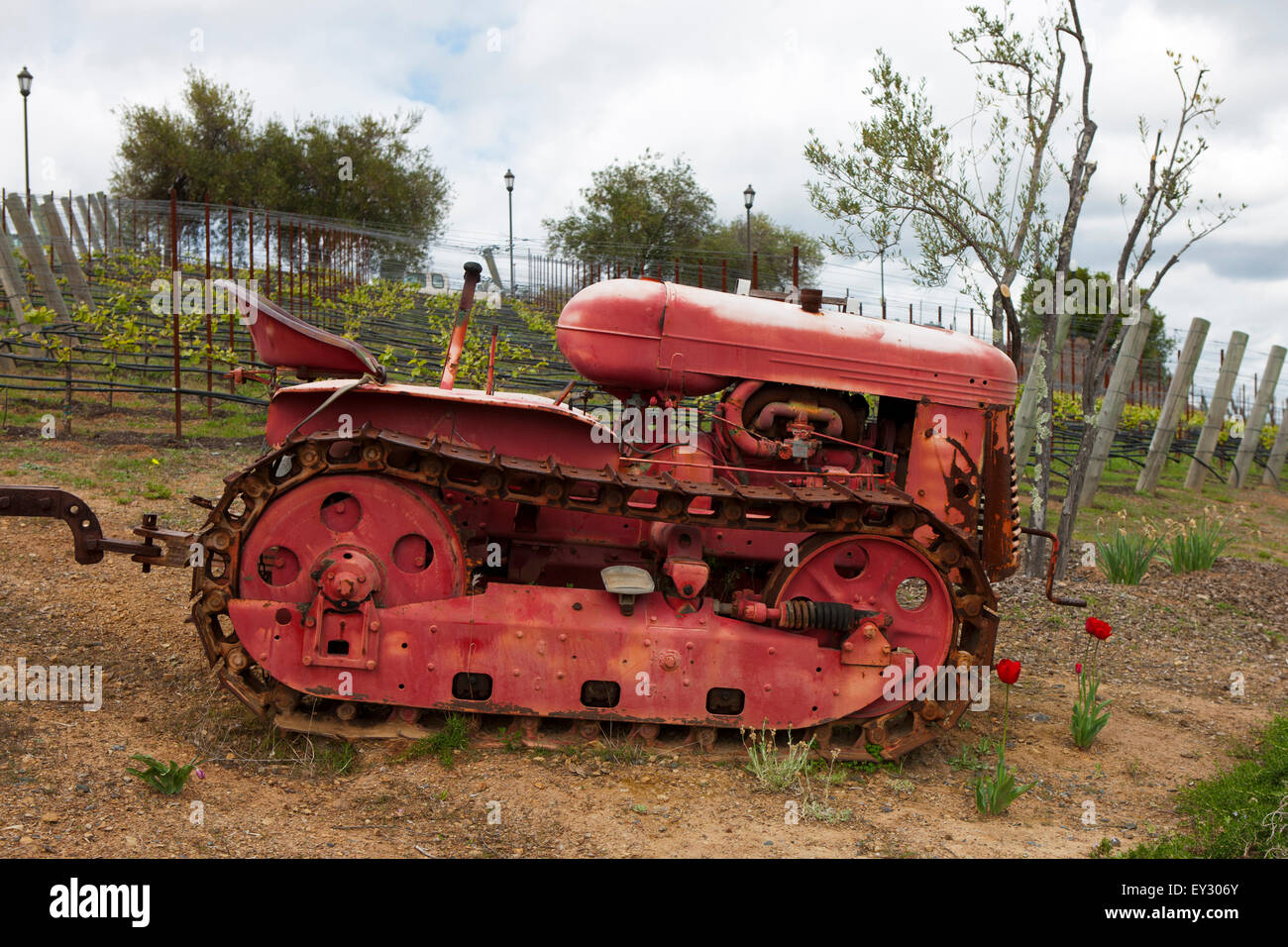 Red rusted tractor in front of vineyard vines, Paul Masson Mountain Winery, Saratoga, California, United States of America Stock Photo