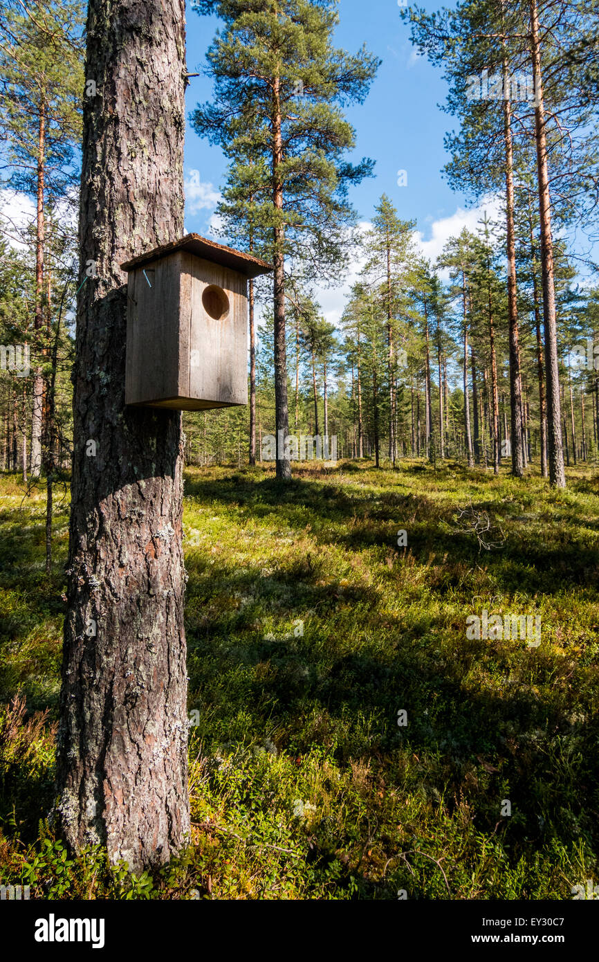 Redstart nest box Stock Photo