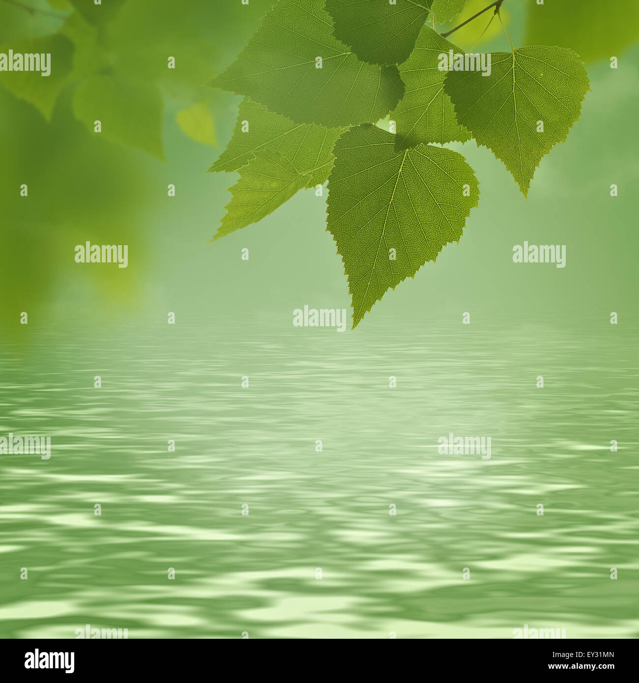 Abstract backgrounds green hi-res stock photography and images - Alamy