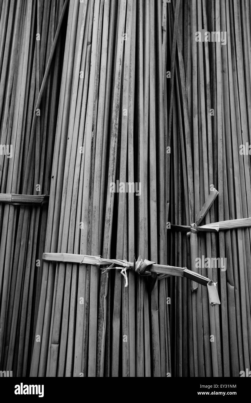 Bundles of reeds used to make 'Caballitos de totora' ('little reed ...