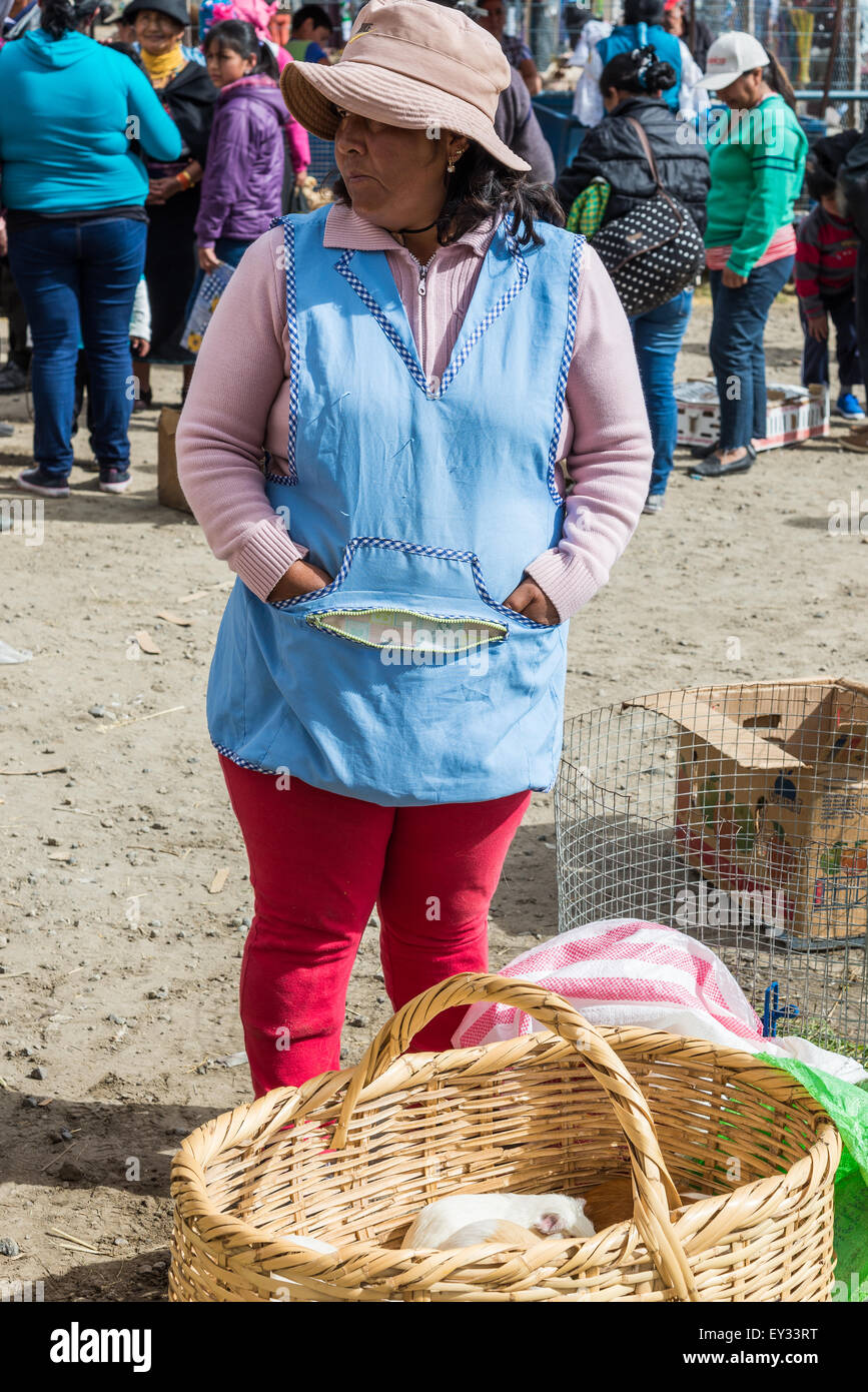 A native woman selling guinea pigs in a basket at local animal market. Otavalo, Ecuador. Stock Photo