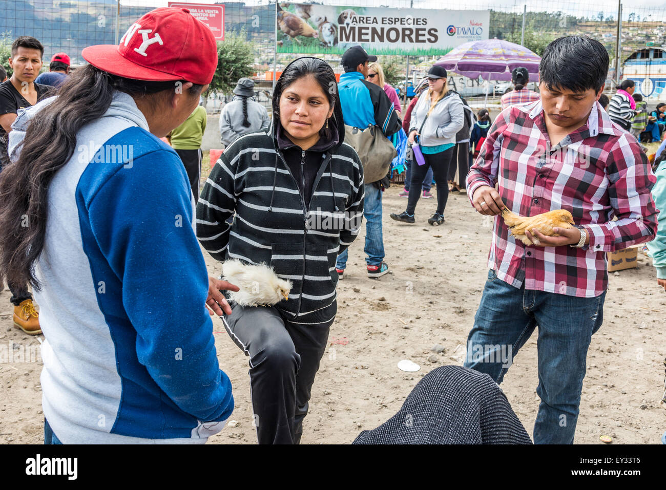 A native woman negotiating with a man for her chicken at local market. Otavalo, Ecuador. Stock Photo