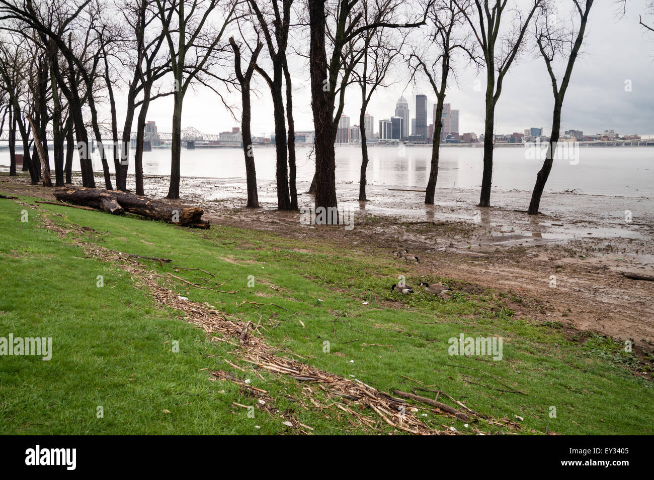 Record rainfall creates flooding in Kentucky April 2015 Stock Photo