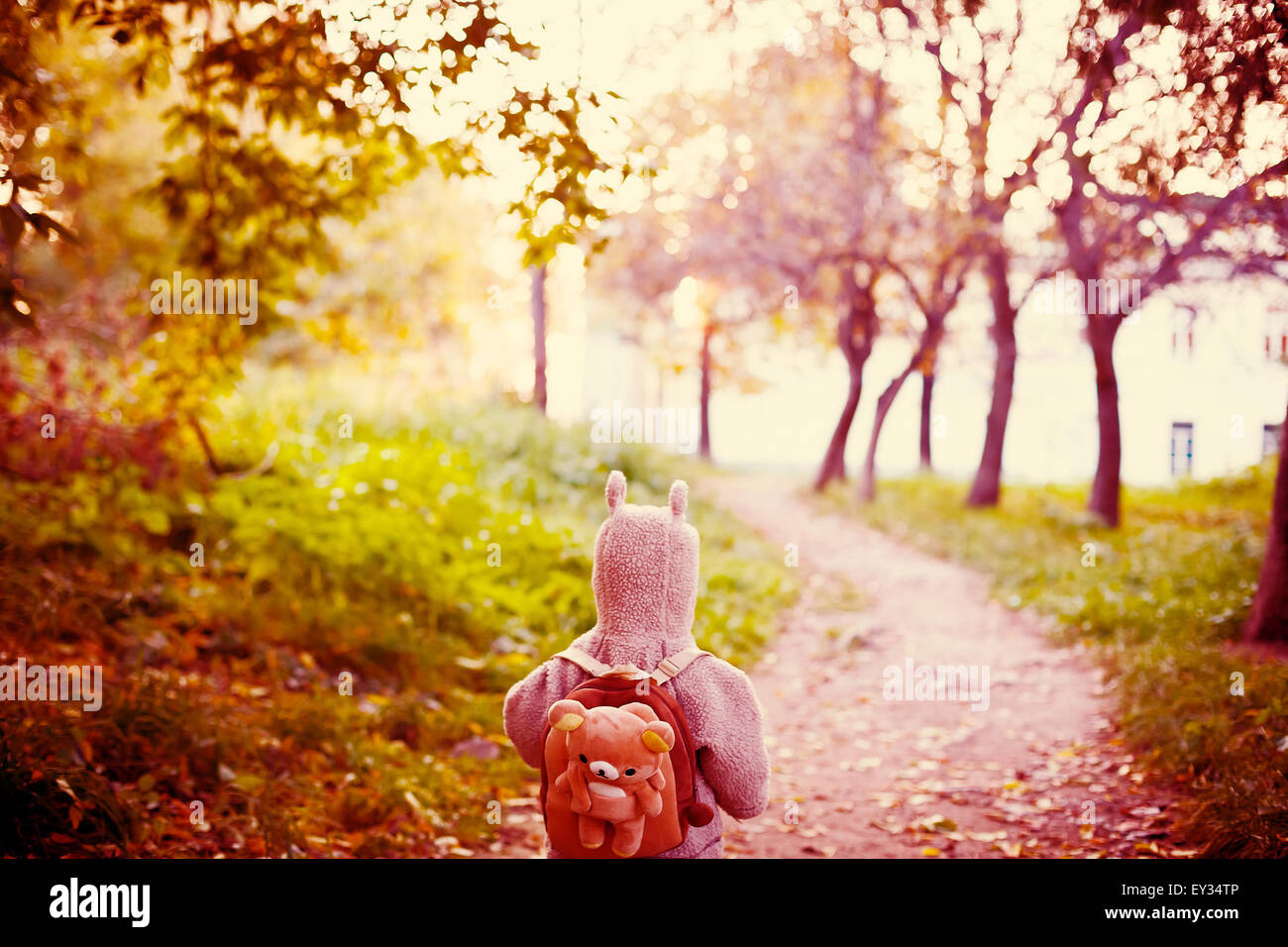 Cute Little Kid in Funny Jacket with Animal Ears on Hood and Teddy Bear Backpack Travelling in the Park. View from the Back. Stock Photo