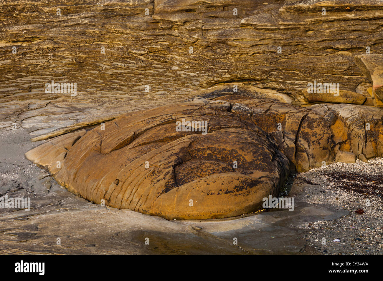 Layers of sedimentary sandstone conforming to the shape of a harder base  rock on Protection Island, British Columbia, Canada Stock Photo - Alamy