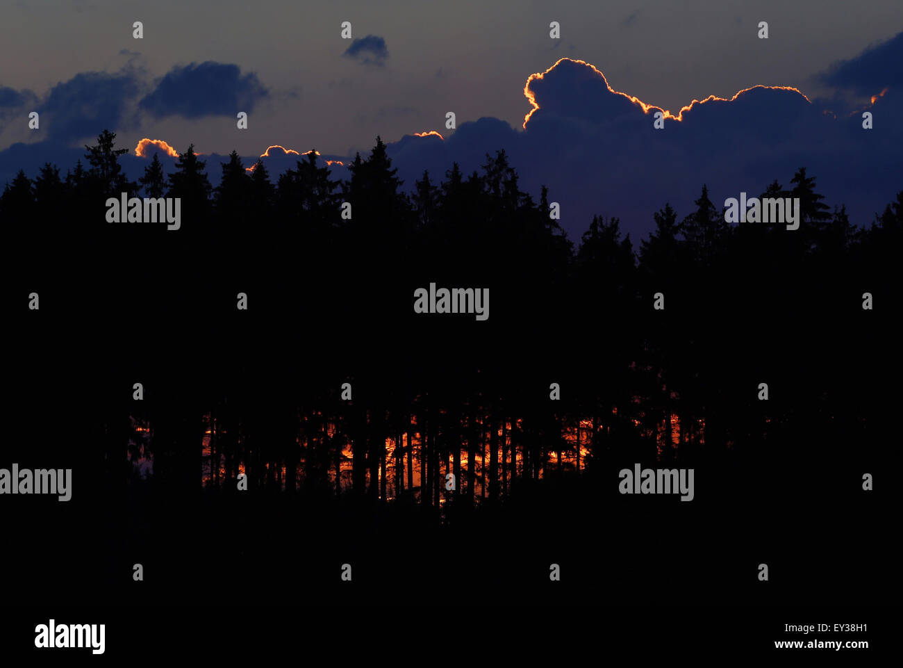 The light of the setting sun gleams like fire behind a pine forest near Ebersbach, Germany, 20 July 2015. Photo: Karl-Josef Hildenbrand /dpa Stock Photo