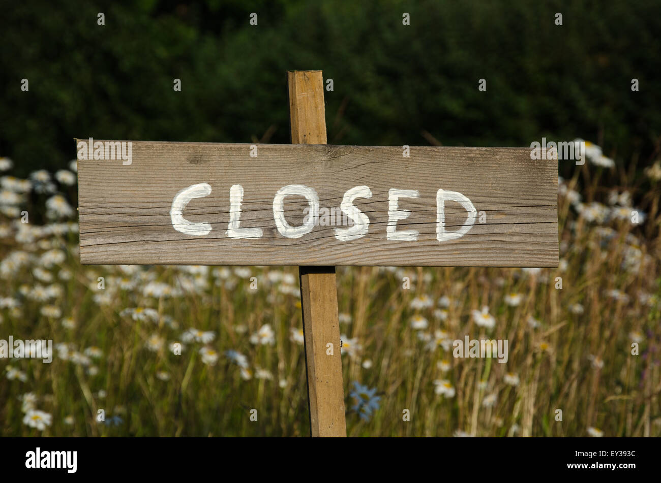 Old wooden closed sign among summer flowers Stock Photo