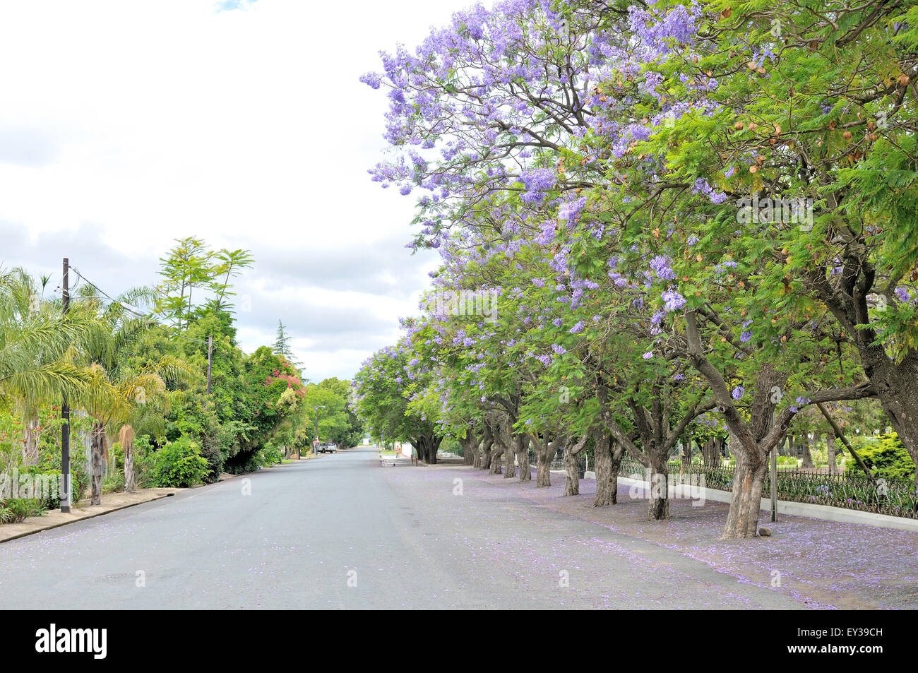 Street view of Rawsonville in the Western Cape Province of South Africa Stock Photo