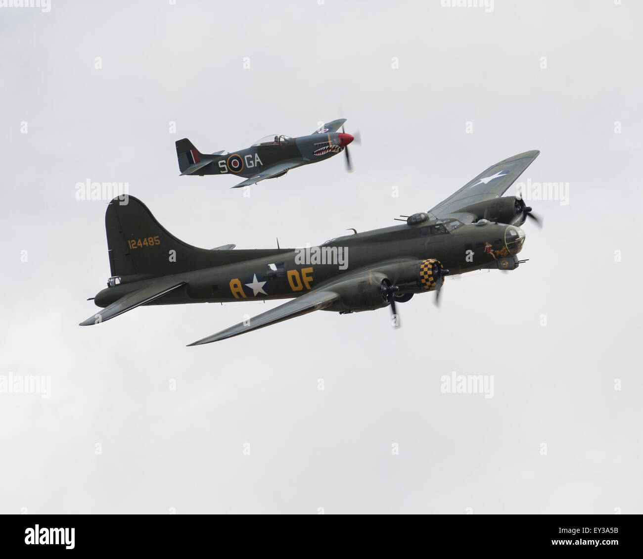 Preserved North American P51D Mustang and B-17G Flying Fortress Sally B flying at the Flying Legends 2015 Air Show Stock Photo