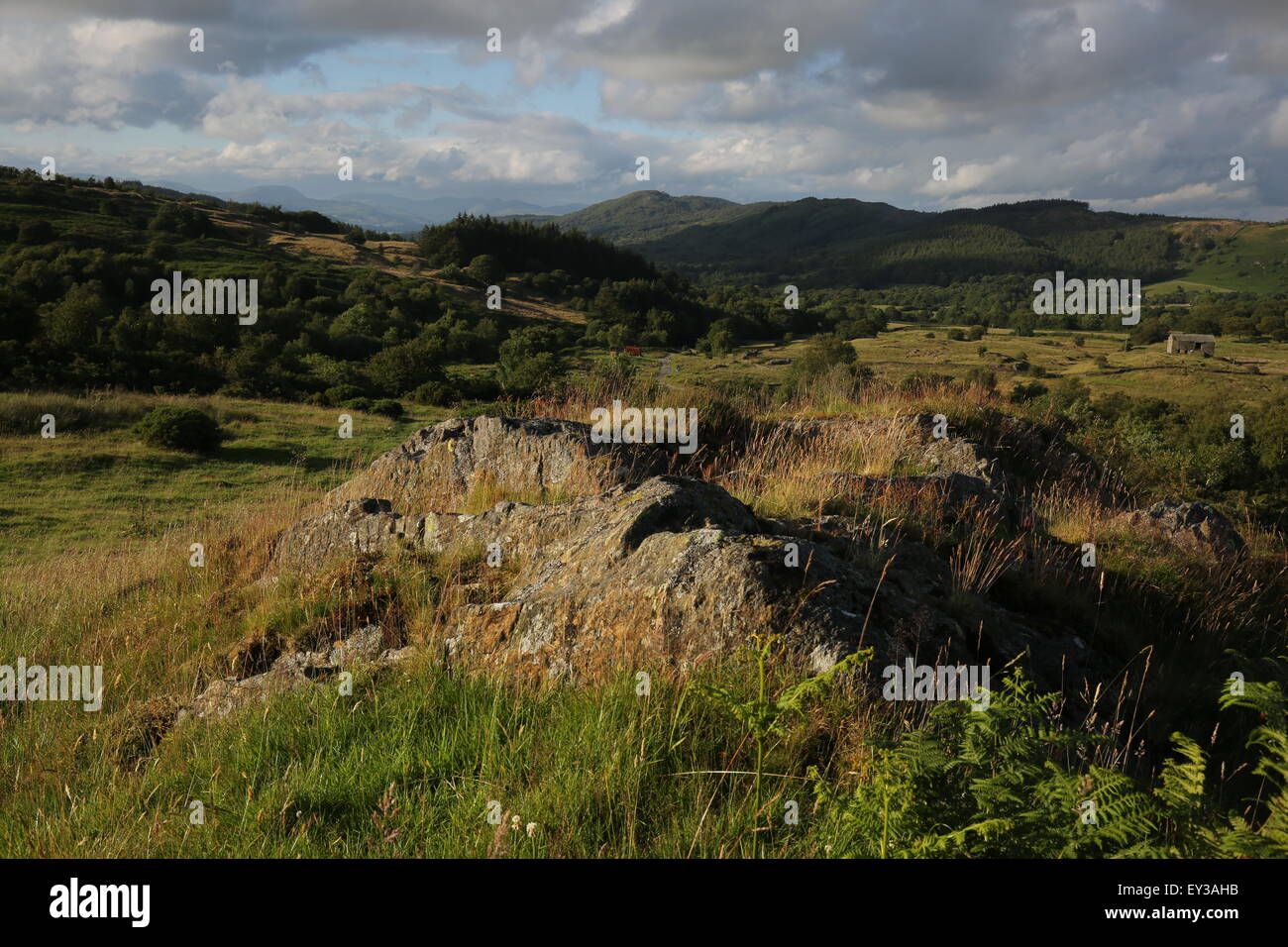 South lakeland  gummers how lake district from near newby bridge pastoral Lake district landscape Stock Photo