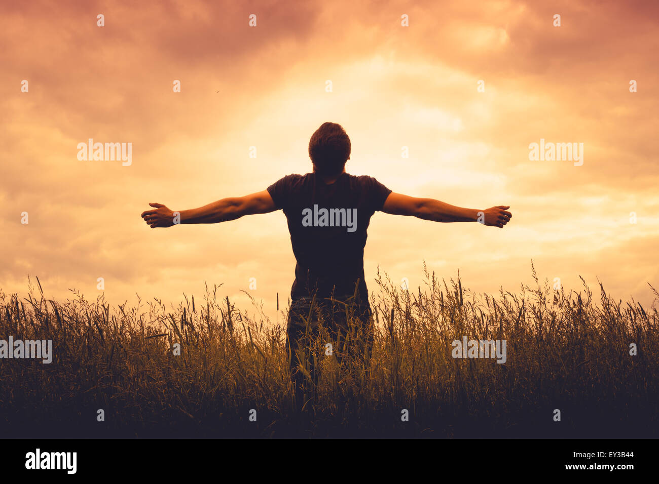 silhouette of man standing in a field at sunset Stock Photo - Alamy