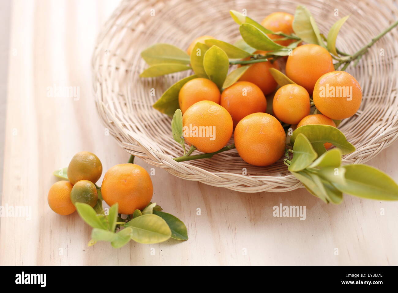 Fully ripe Calamondin, Kumquat, Citrofortunella microcarpa in basket a on wooden board Stock Photo