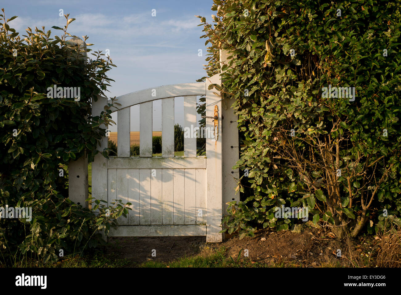 Old wooden garden gate in hedge, Normandy, France Stock Photo