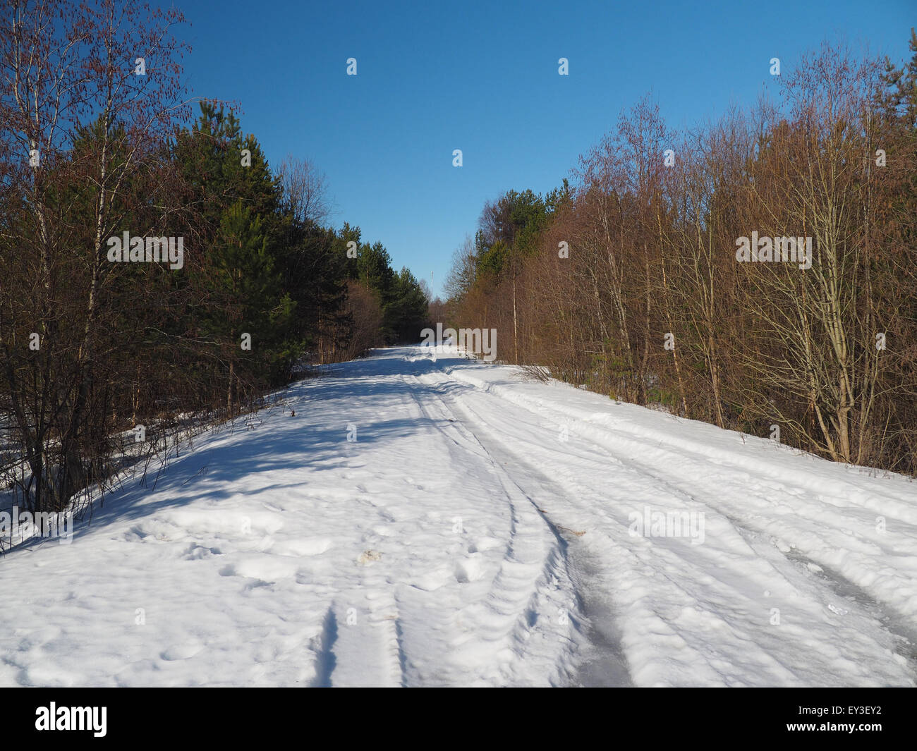 road in the forest in winter Stock Photo - Alamy