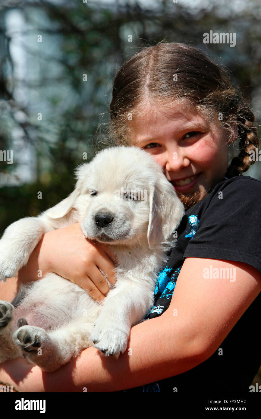 Golden Retriever. Young girl holding puppy Lino (8 weeks old) in her arms. Germany Stock Photo