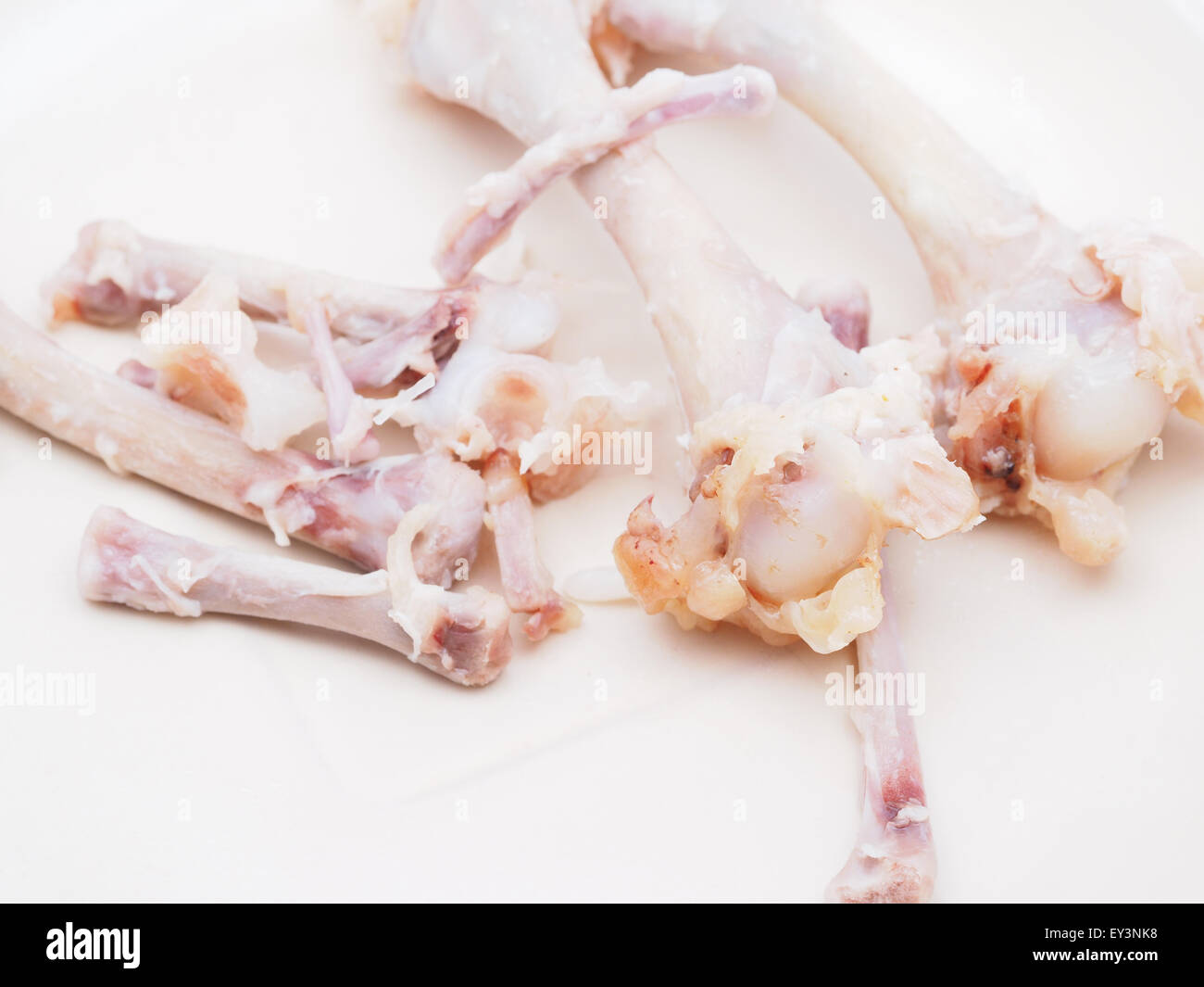 chicken bones Stock Photo