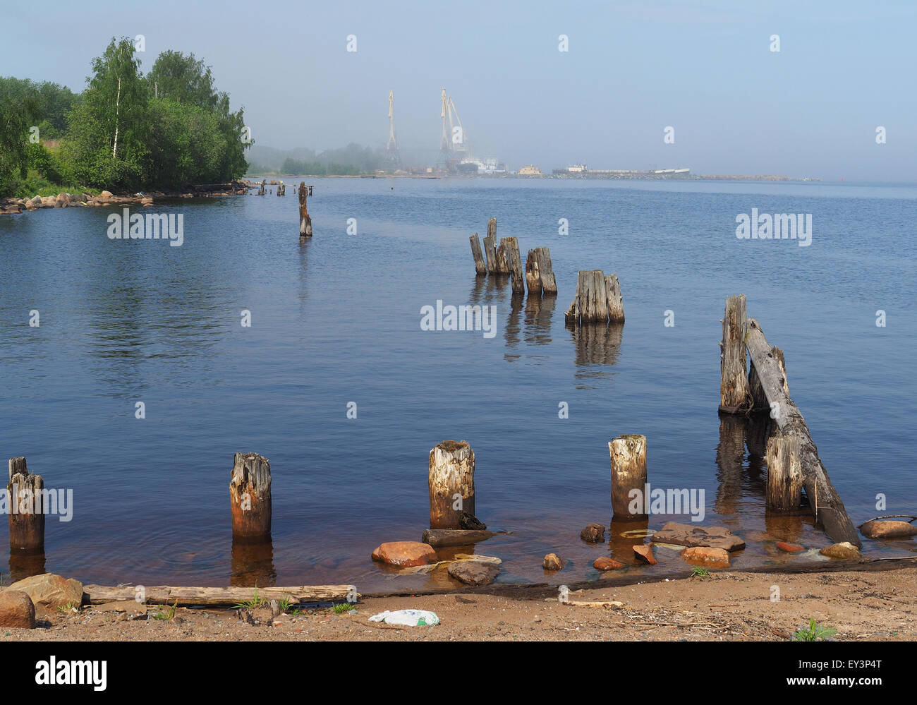 old piles in the lake Stock Photo