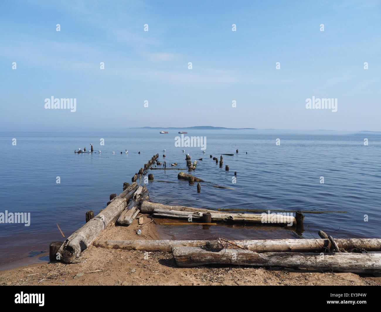 old piles in the lake Stock Photo