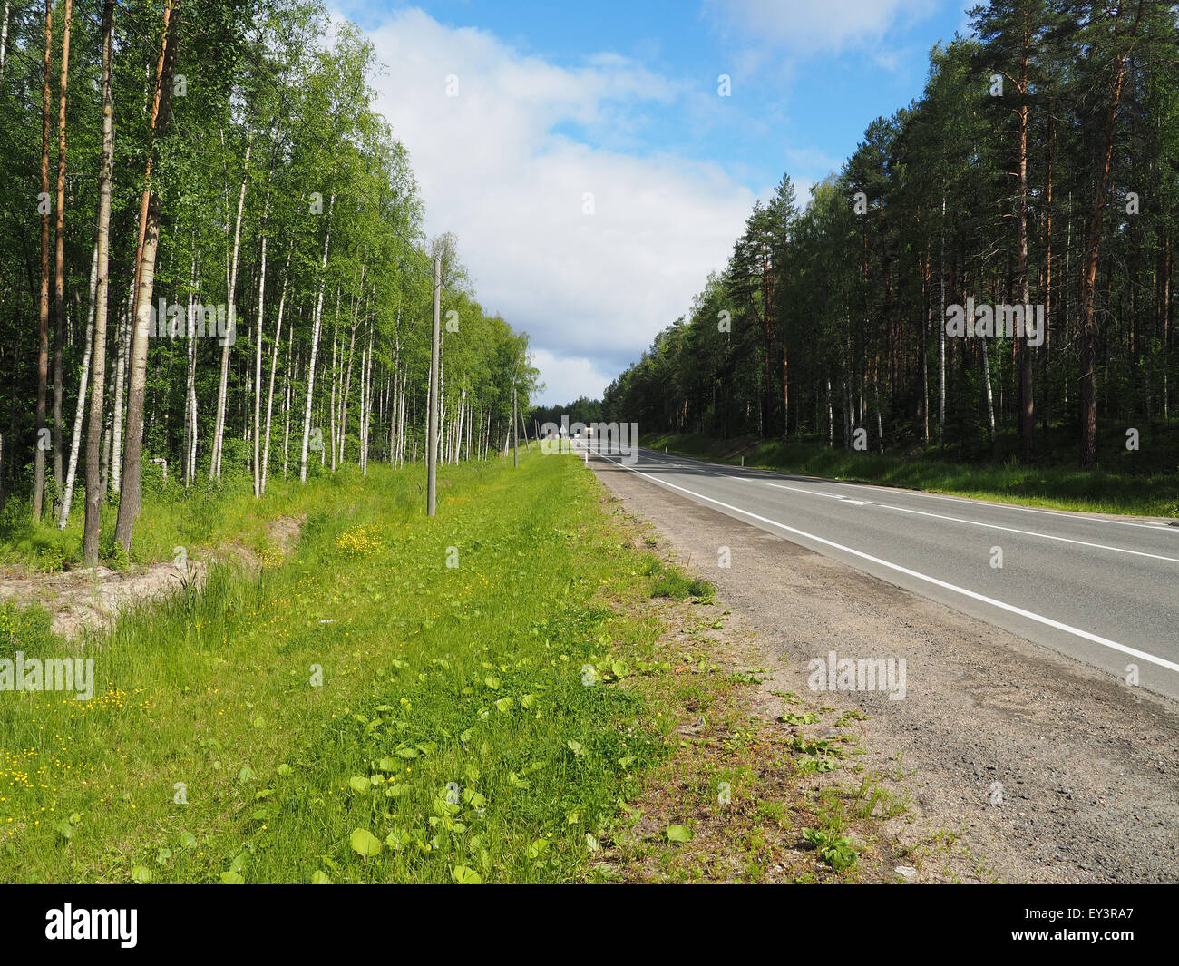 Landscape asphalt road forest hi-res stock photography and images - Alamy