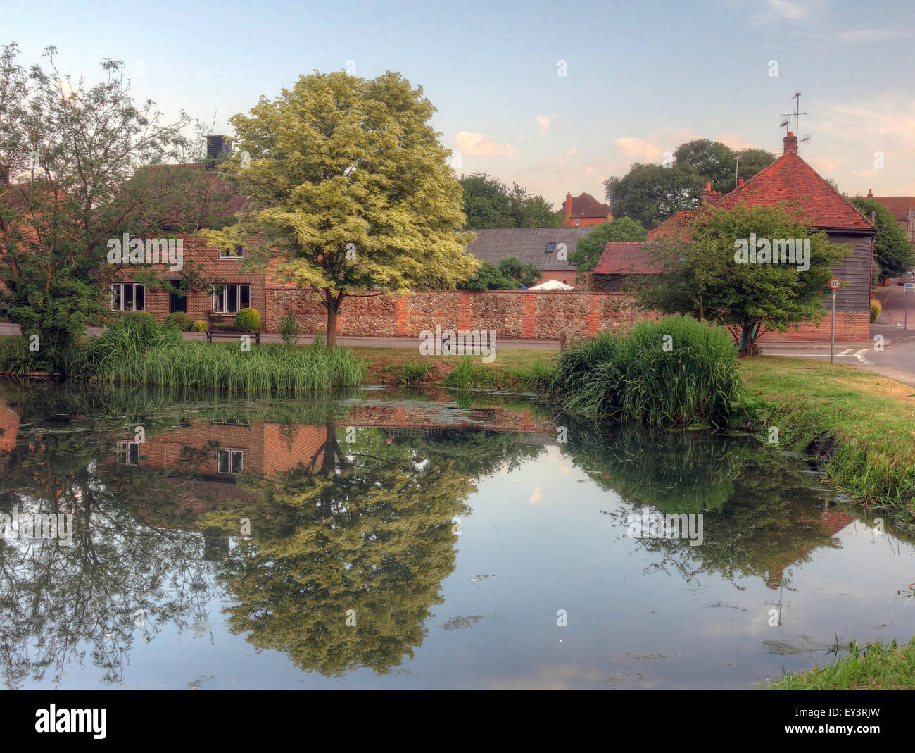 The pond, East Ilsley, Newbury, West Berkshire, England, UK, RG20 7LP Stock Photo