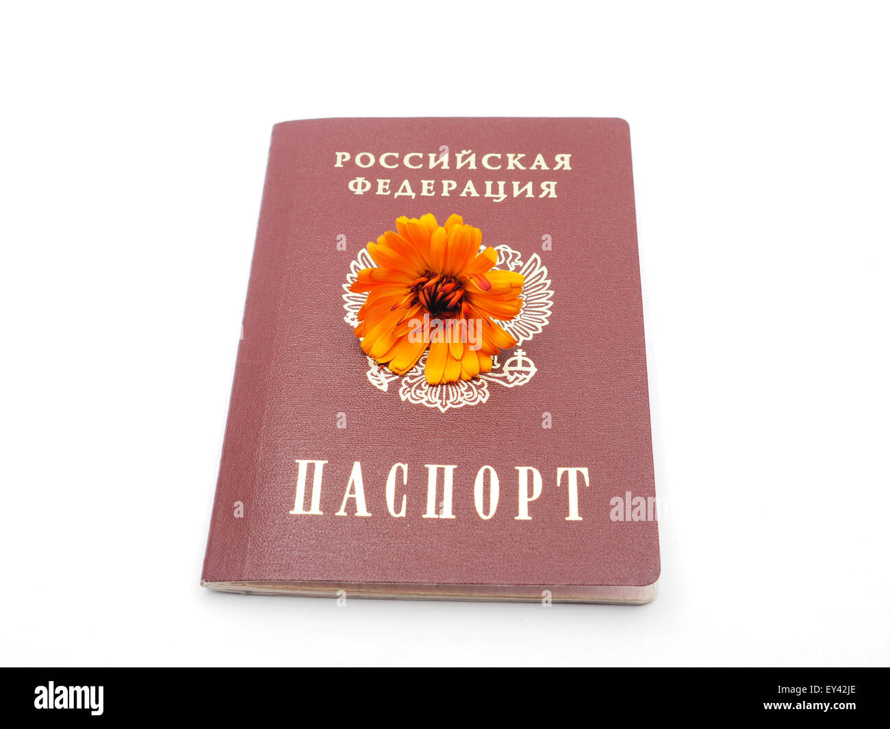 Russian passport and flowers on a white background Stock Photo Alamy