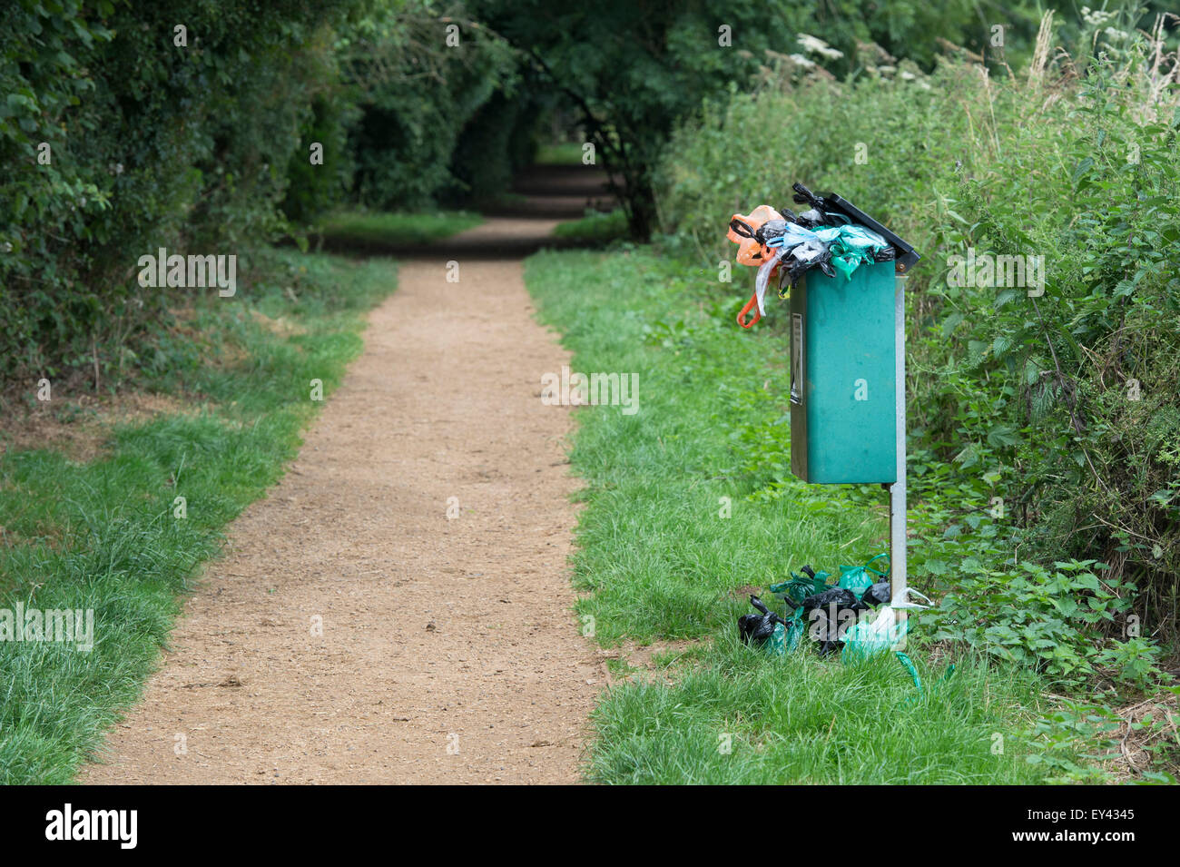Overflowing Dog waste bin on a woodland path in the english countryside. UK Stock Photo