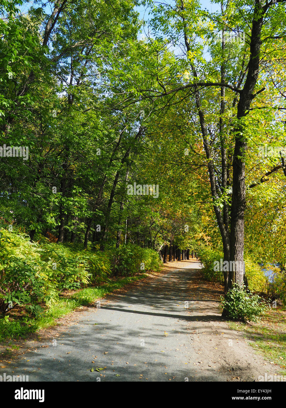 park in autumn Stock Photo - Alamy