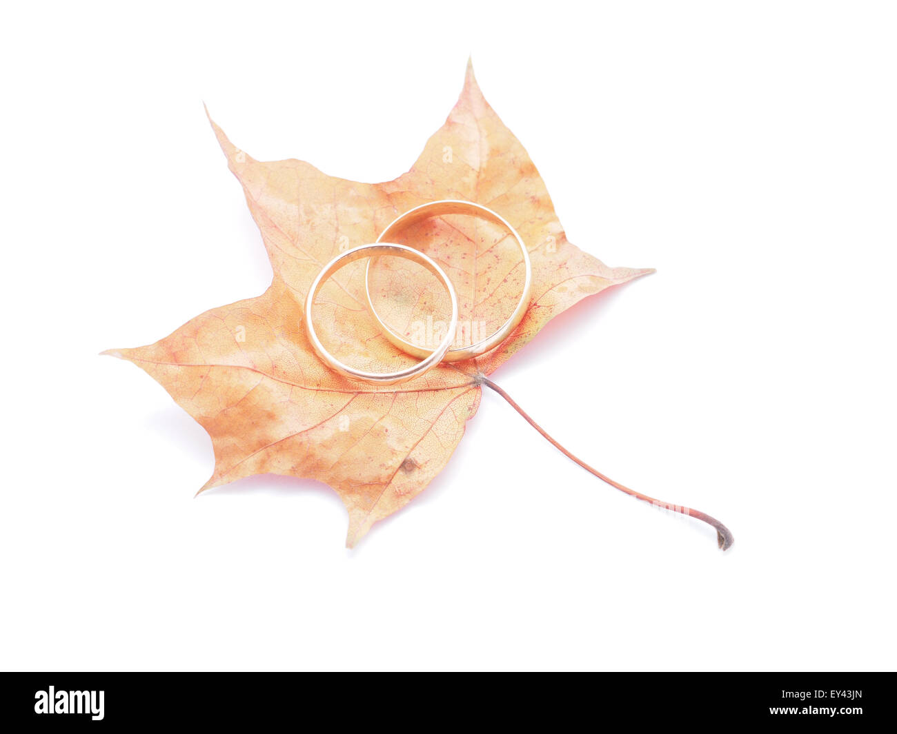 Wedding rings on fall foliage hi-res stock photography and images - Alamy