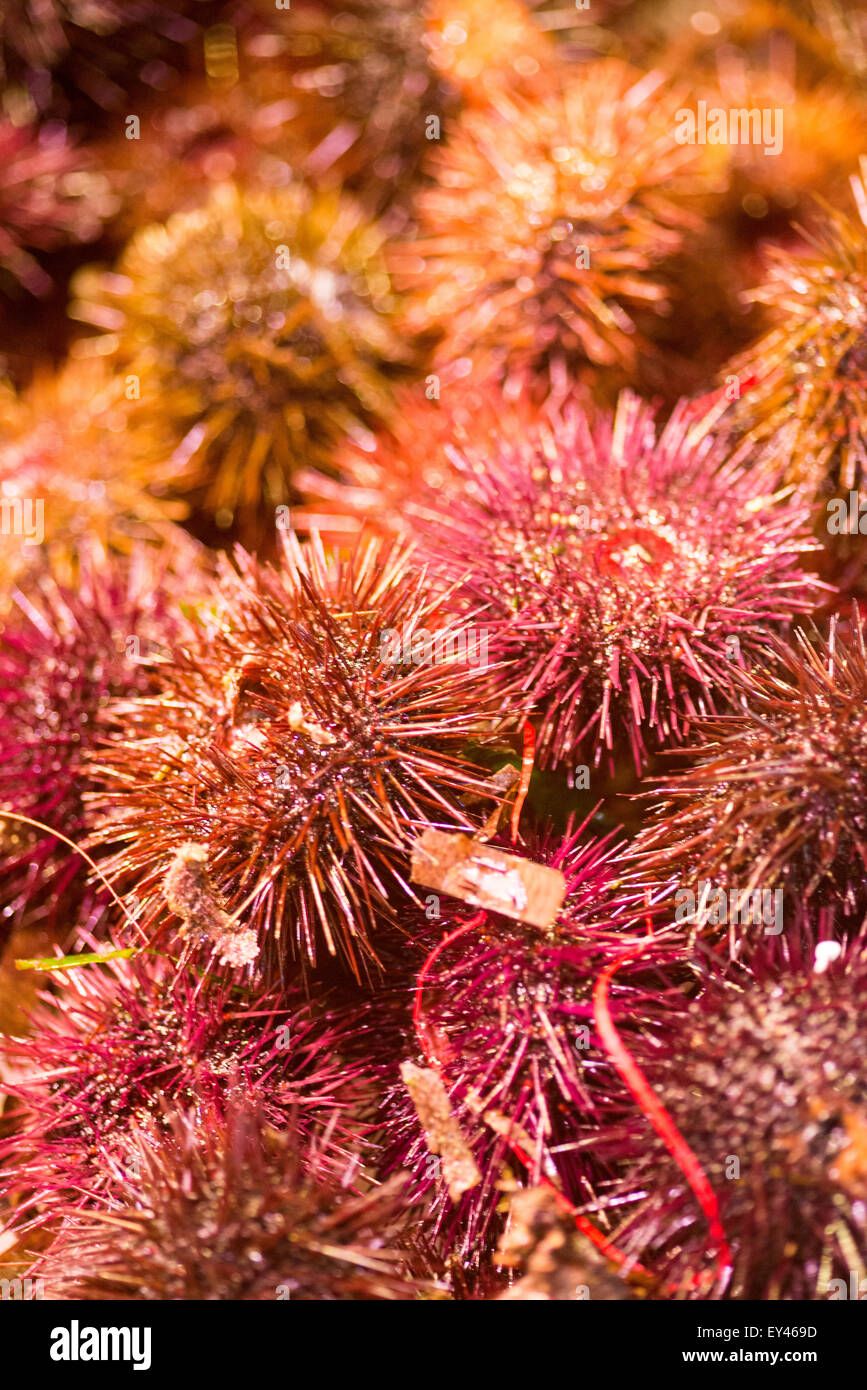 fish,seafood, food, sea, healthy, raw, market, fish Stock Photo Alamy