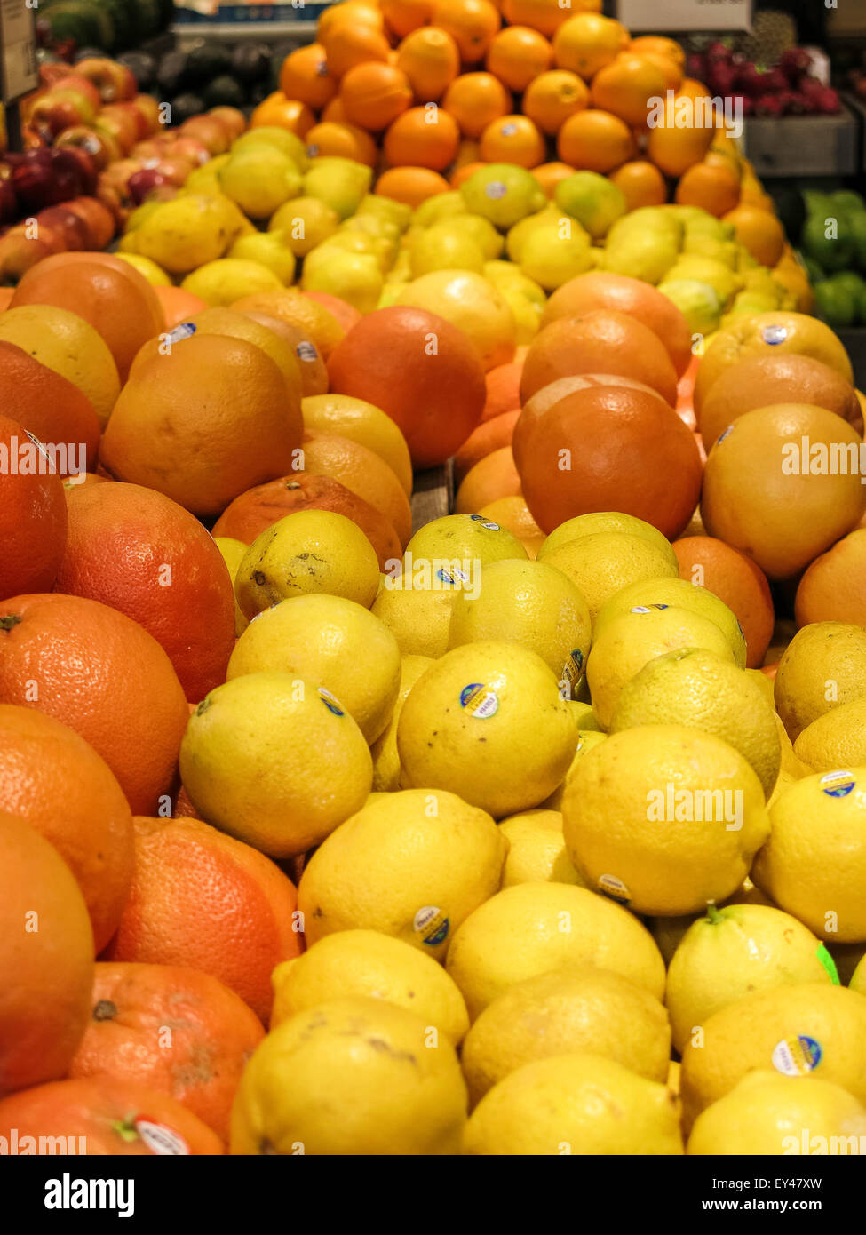 Citrus Display, Grocery Store, USA Stock Photo Alamy