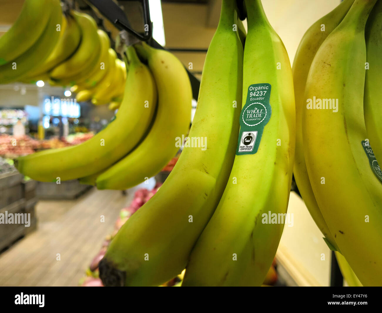 Hanging Green Bananas, Grocery Store, USA Stock Photo Alamy