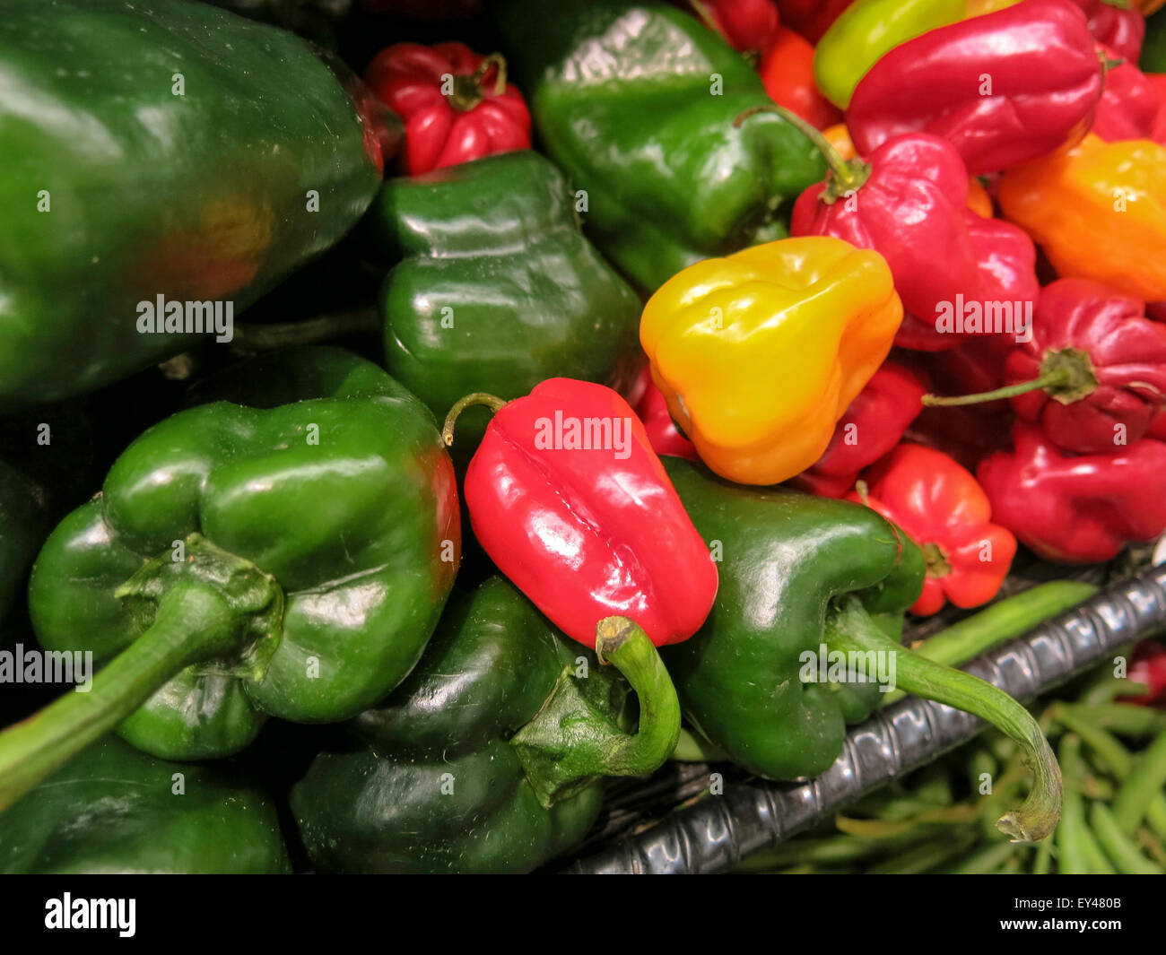 Hot food retailer hires stock photography and images Alamy