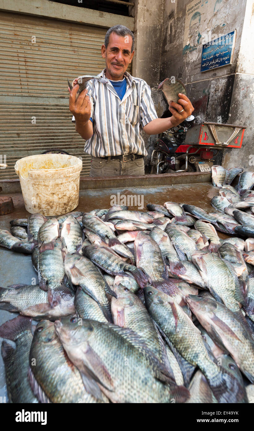 fish seller, suq, Rosetta, Egypt Stock Photo