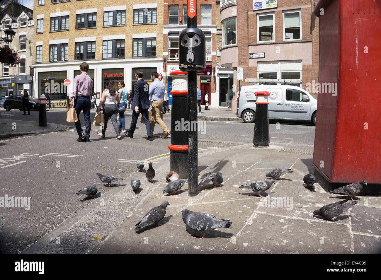 people-versus-pigeons-in-the-city-of-london-uk-on-this-street-corner