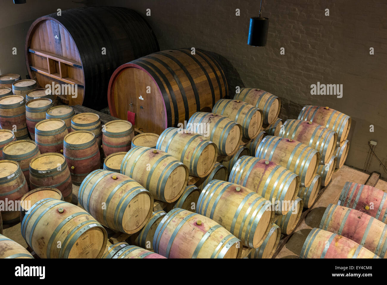 Red wine barrels made from French oak at Groot Constantia wine estate