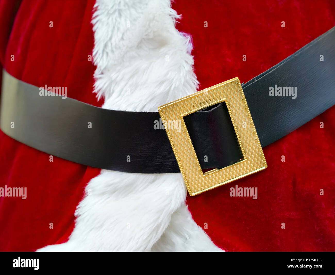Belt With Gold Buckle High Resolution Stock Photography and Images - Alamy