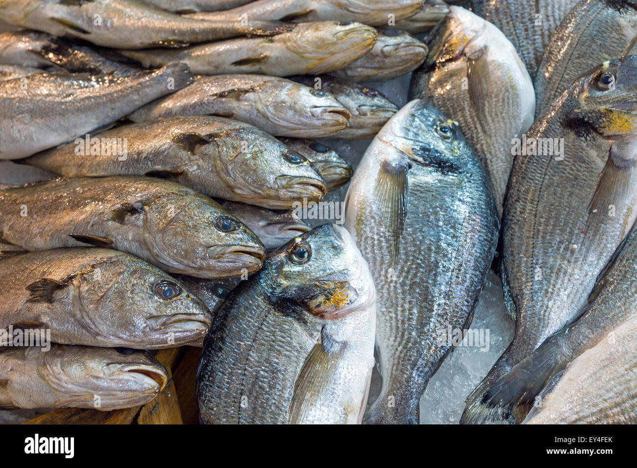 Fresh fish seen at a market in Greece Stock Photo Alamy