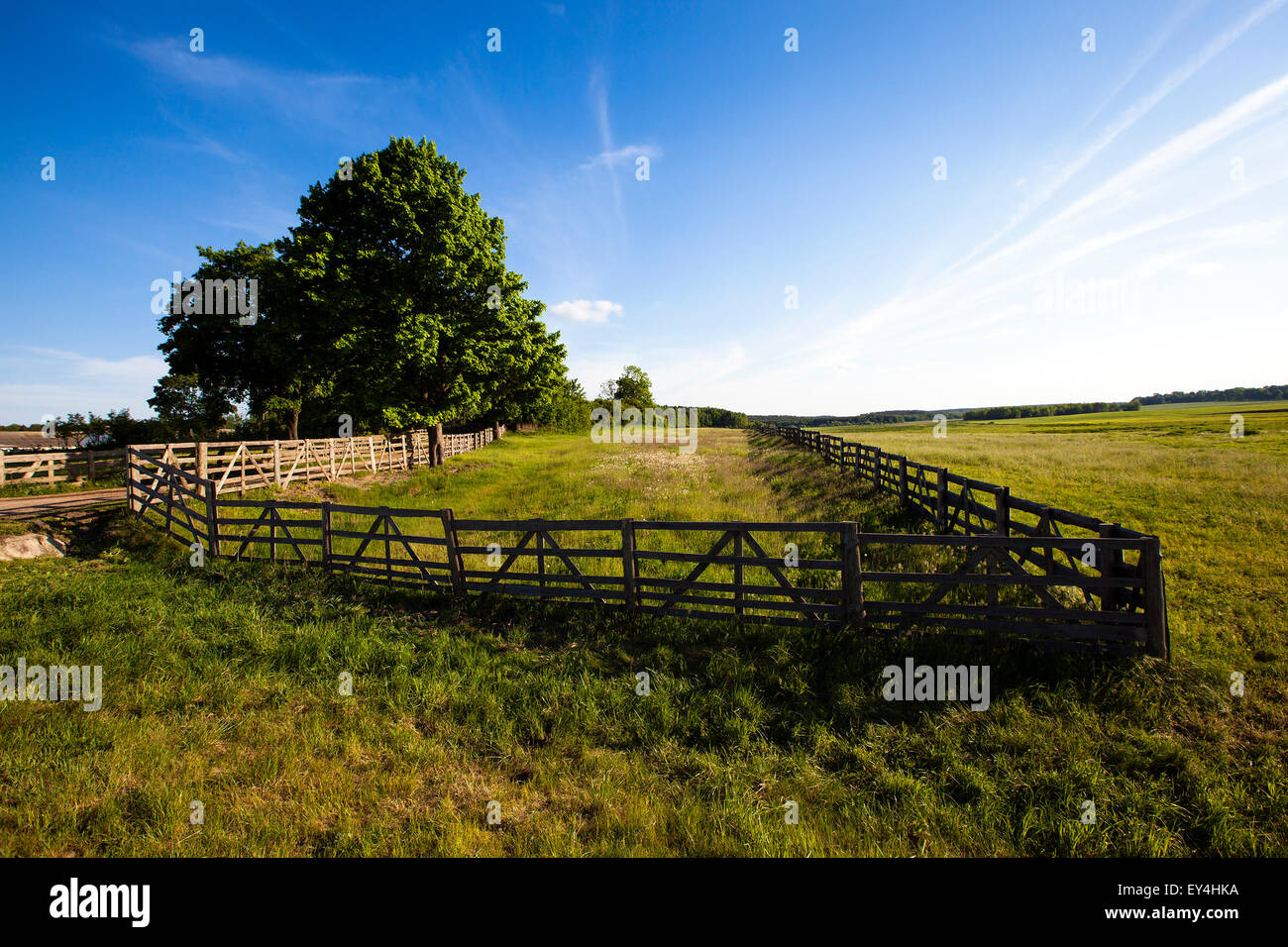 old a fence Stock Photo - Alamy