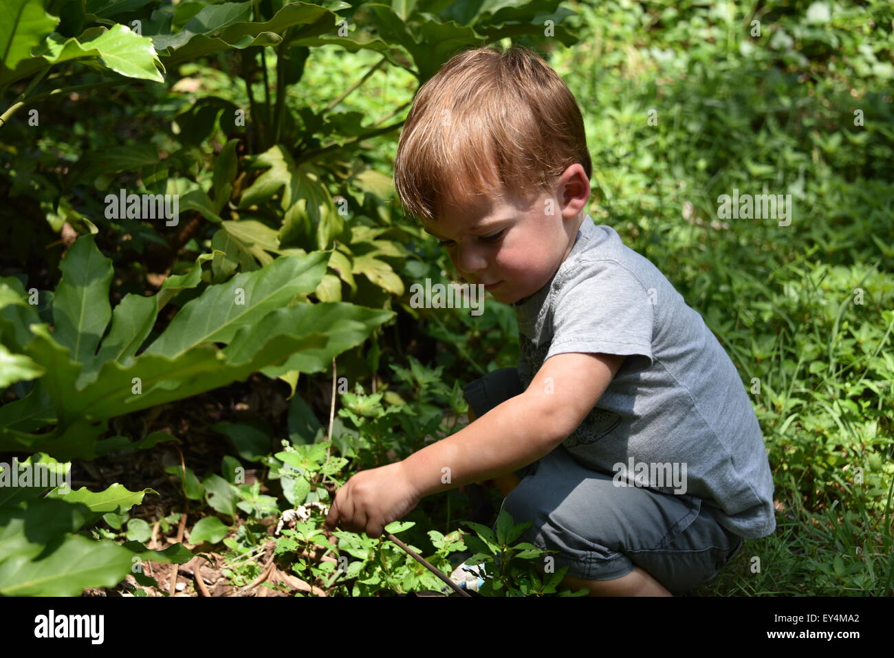 boy playing in the backyard Stock Photo Alamy