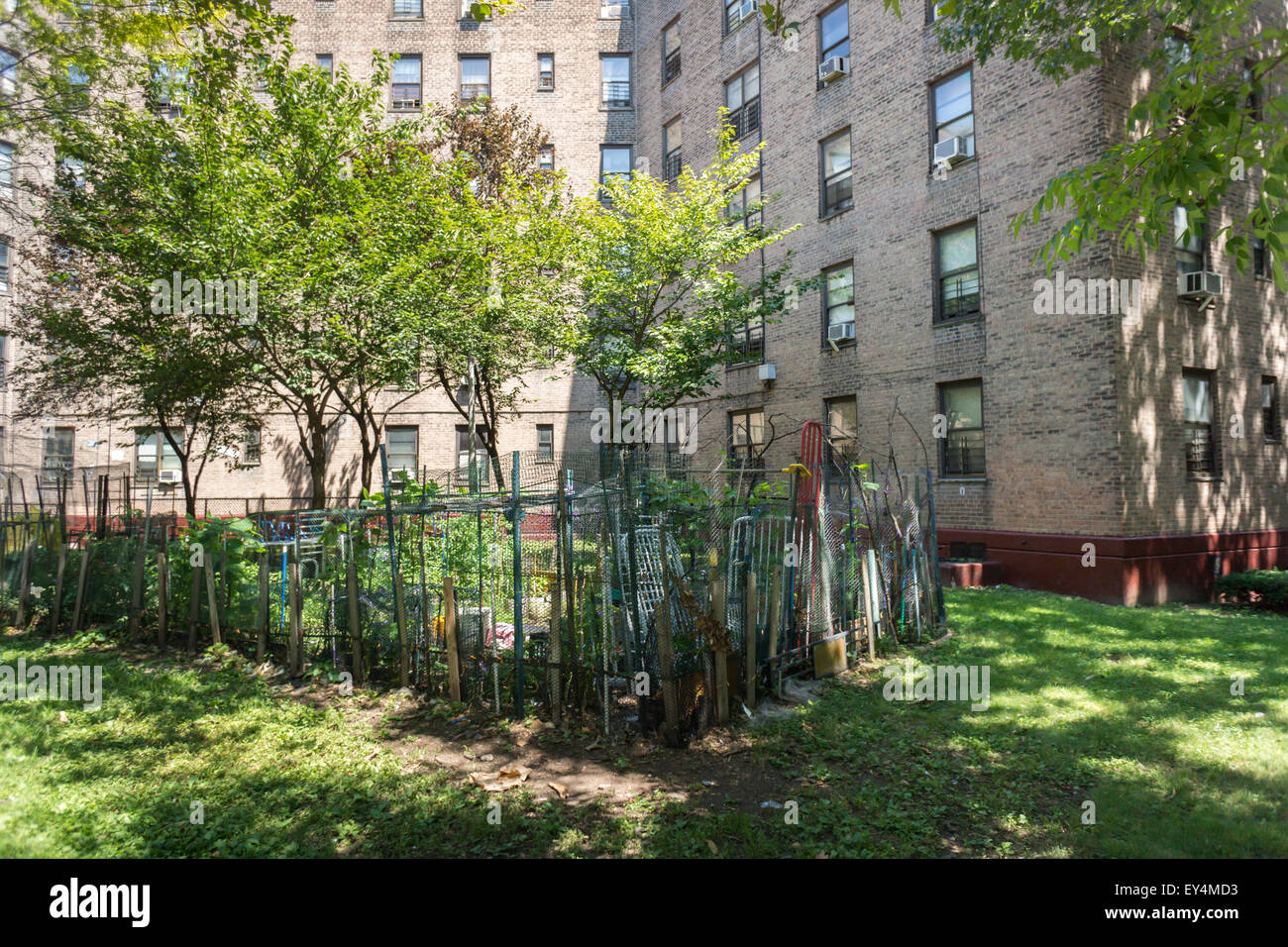 A garden plot in the Queensbridge South Houses in Queens in New York on